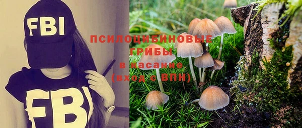 МДПВ Корсаков