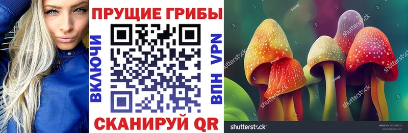 Галлюциногенные грибы мухоморы  omg вход  Воткинск 